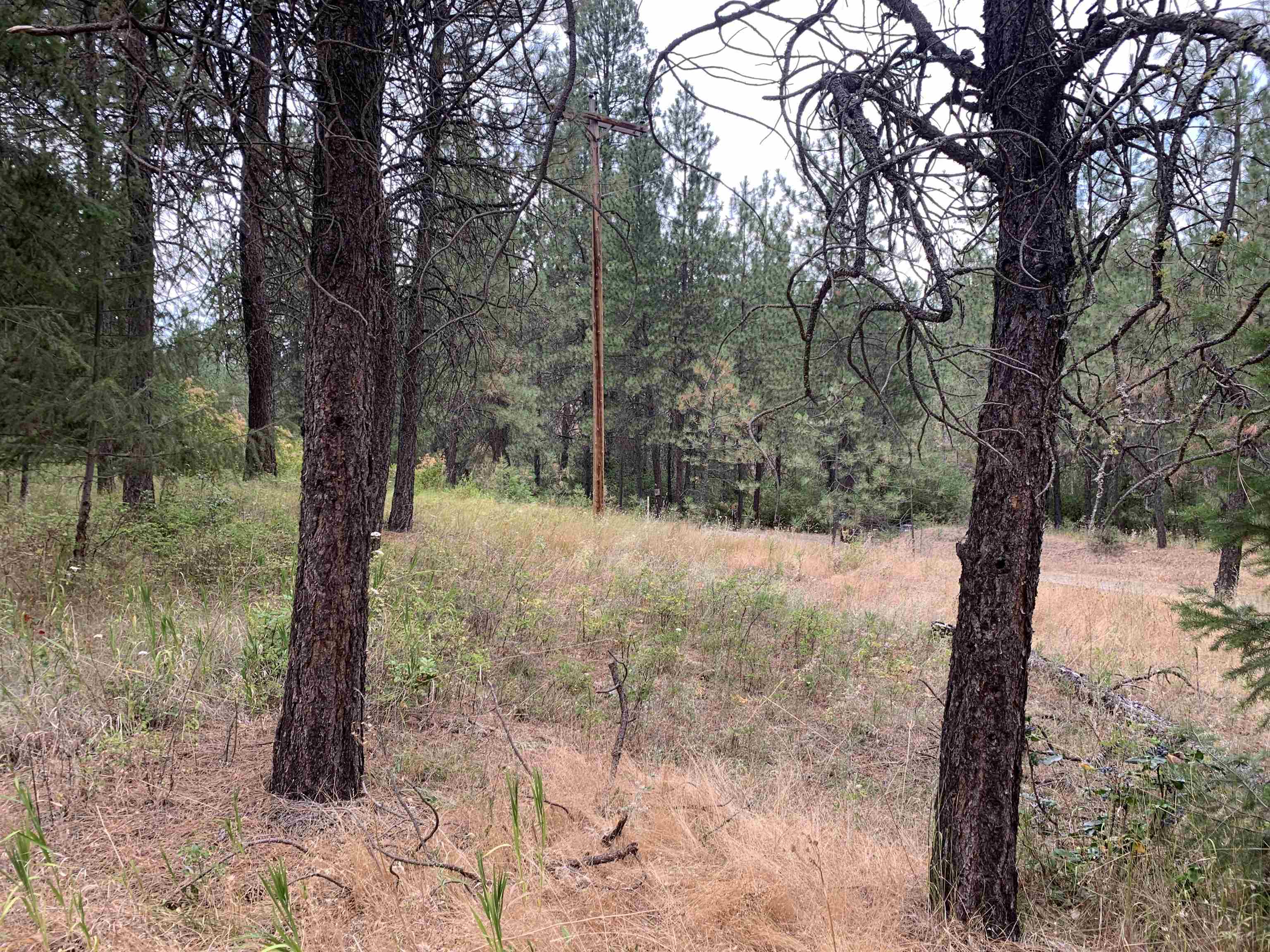 160-xx North Austin Road Spokane, WA 99208 - Photo 12 of 16