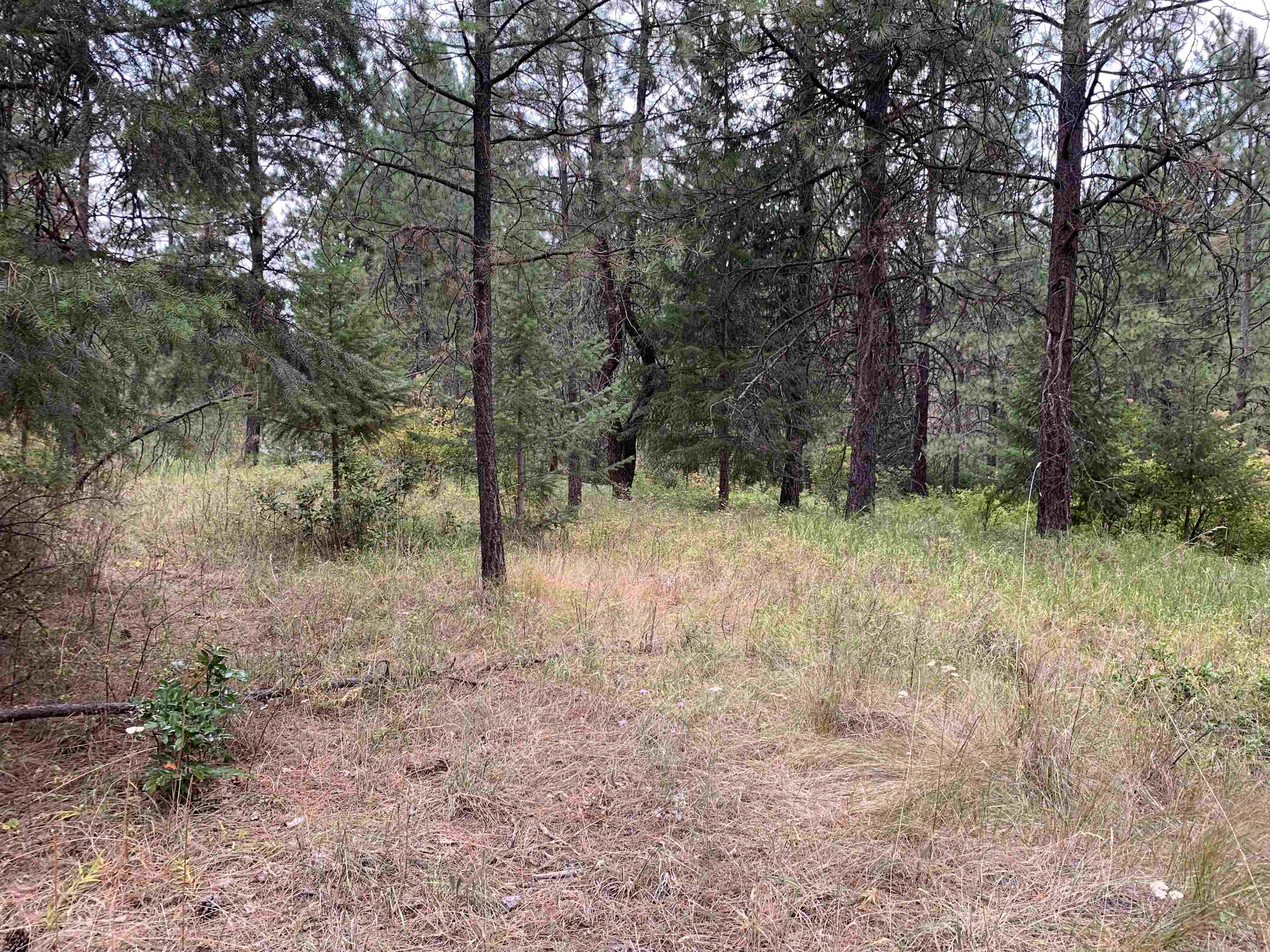 160-xx North Austin Road Spokane, WA 99208 - Photo 14 of 16