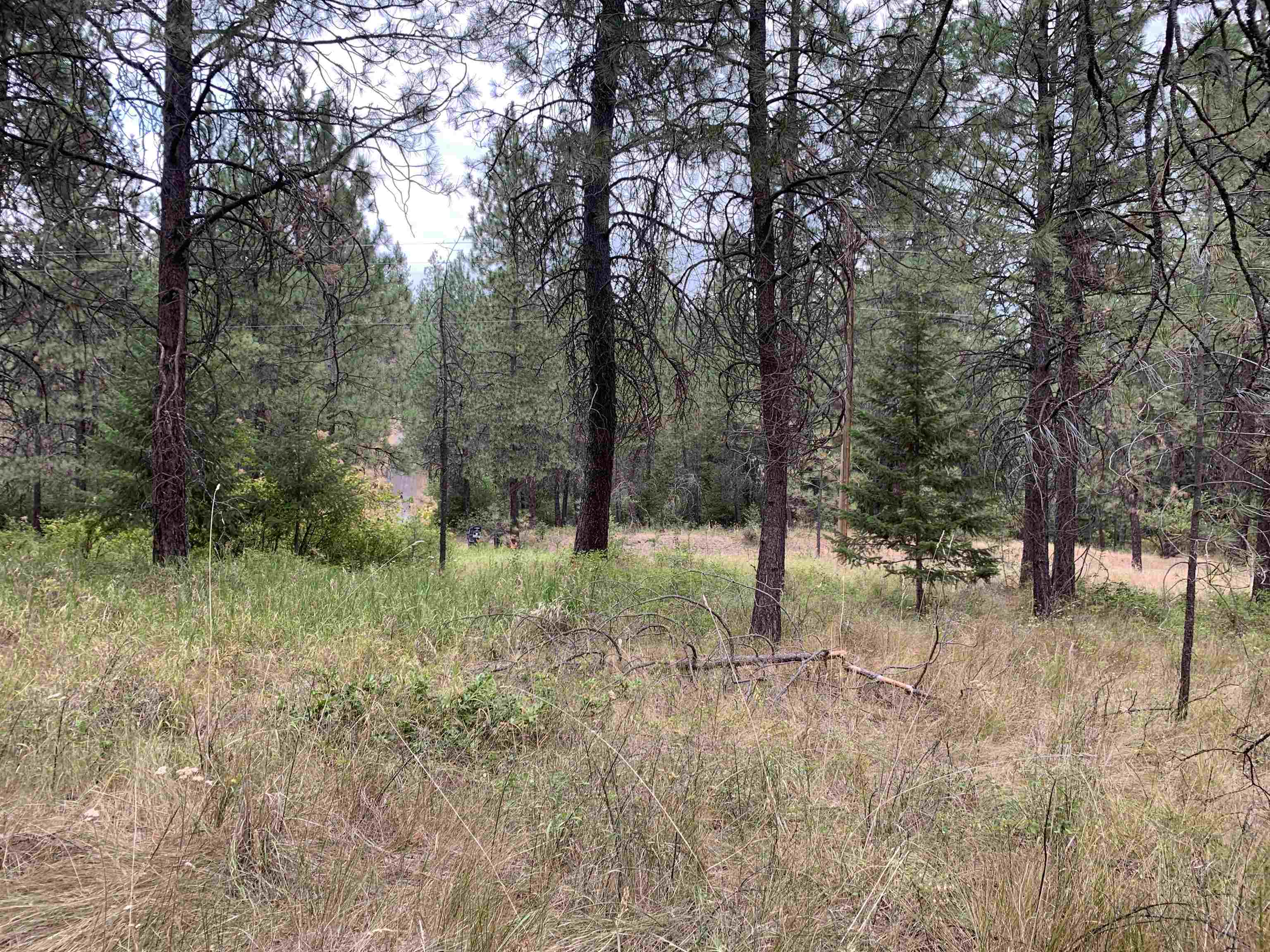 160-xx North Austin Road Spokane, WA 99208 - Photo 15 of 16