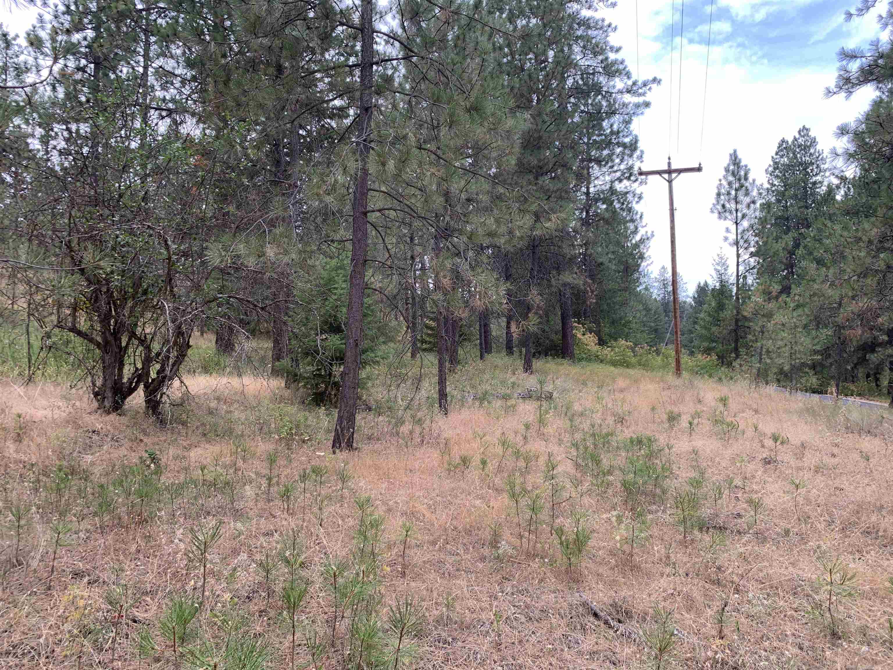 160-xx North Austin Road Spokane, WA 99208 - Photo 16 of 16