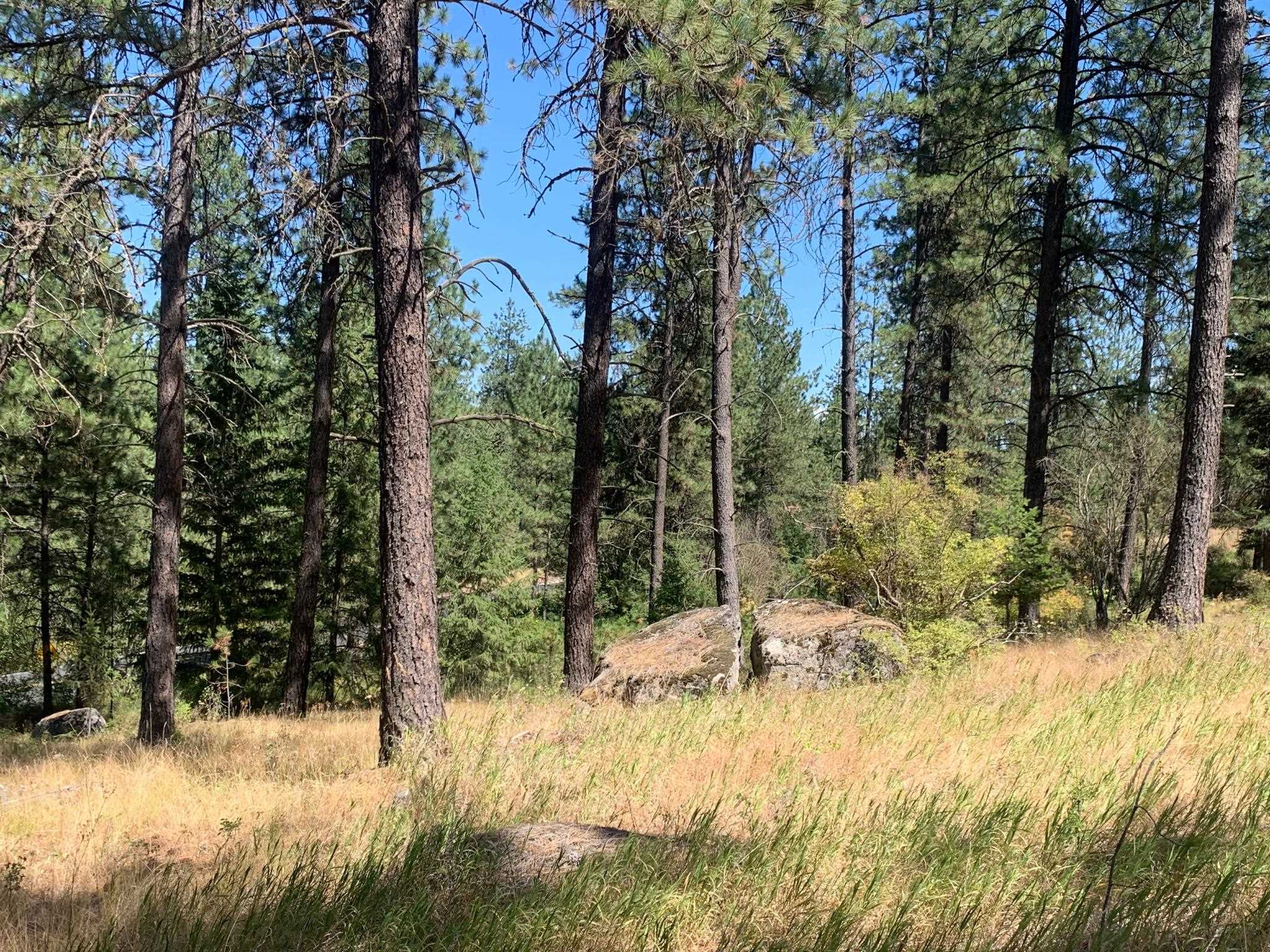 160-xx North Austin Road Spokane, WA 99208 - Photo 7 of 16