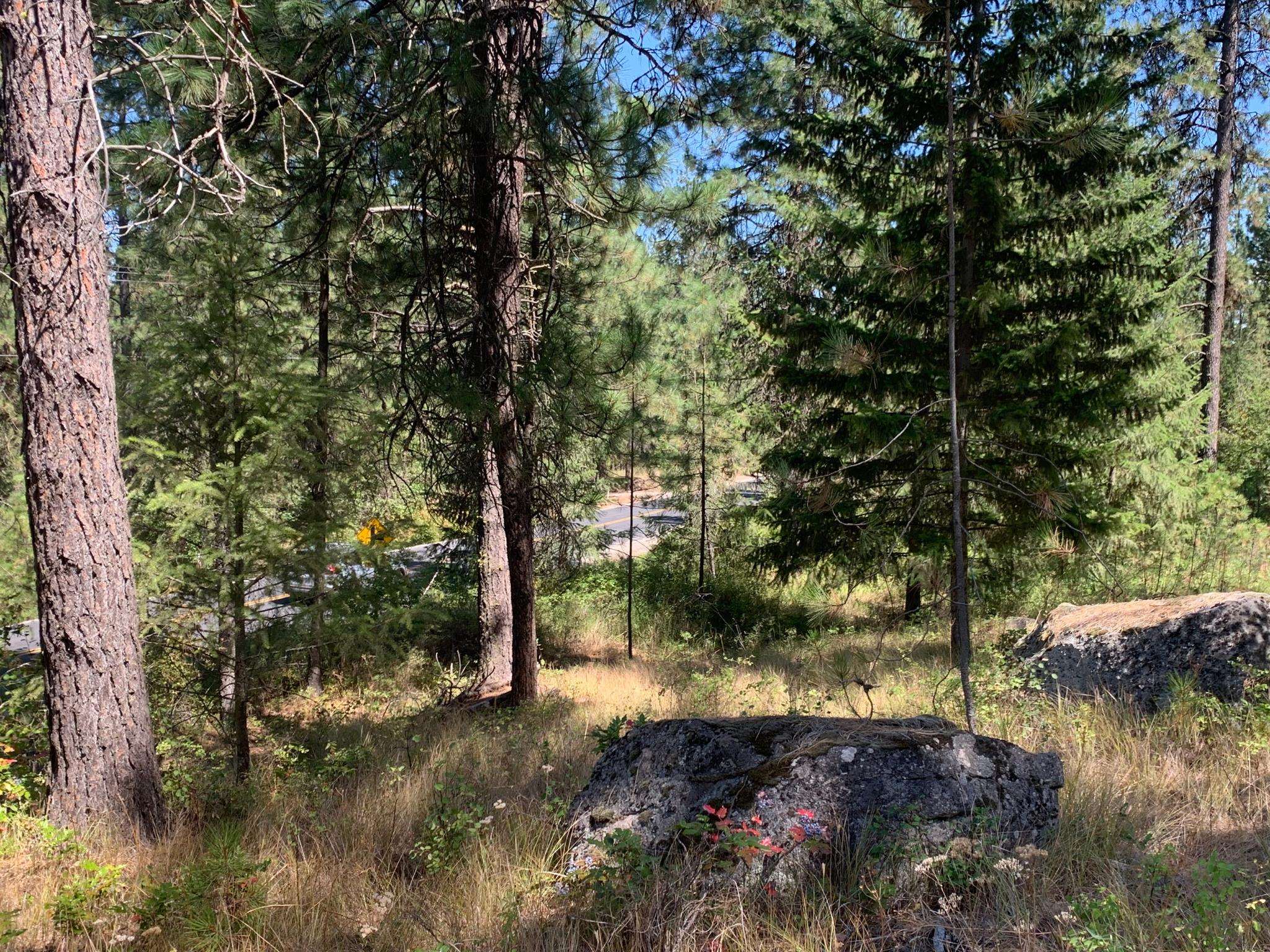 160-xx North Austin Road Spokane, WA 99208 - Photo 9 of 16