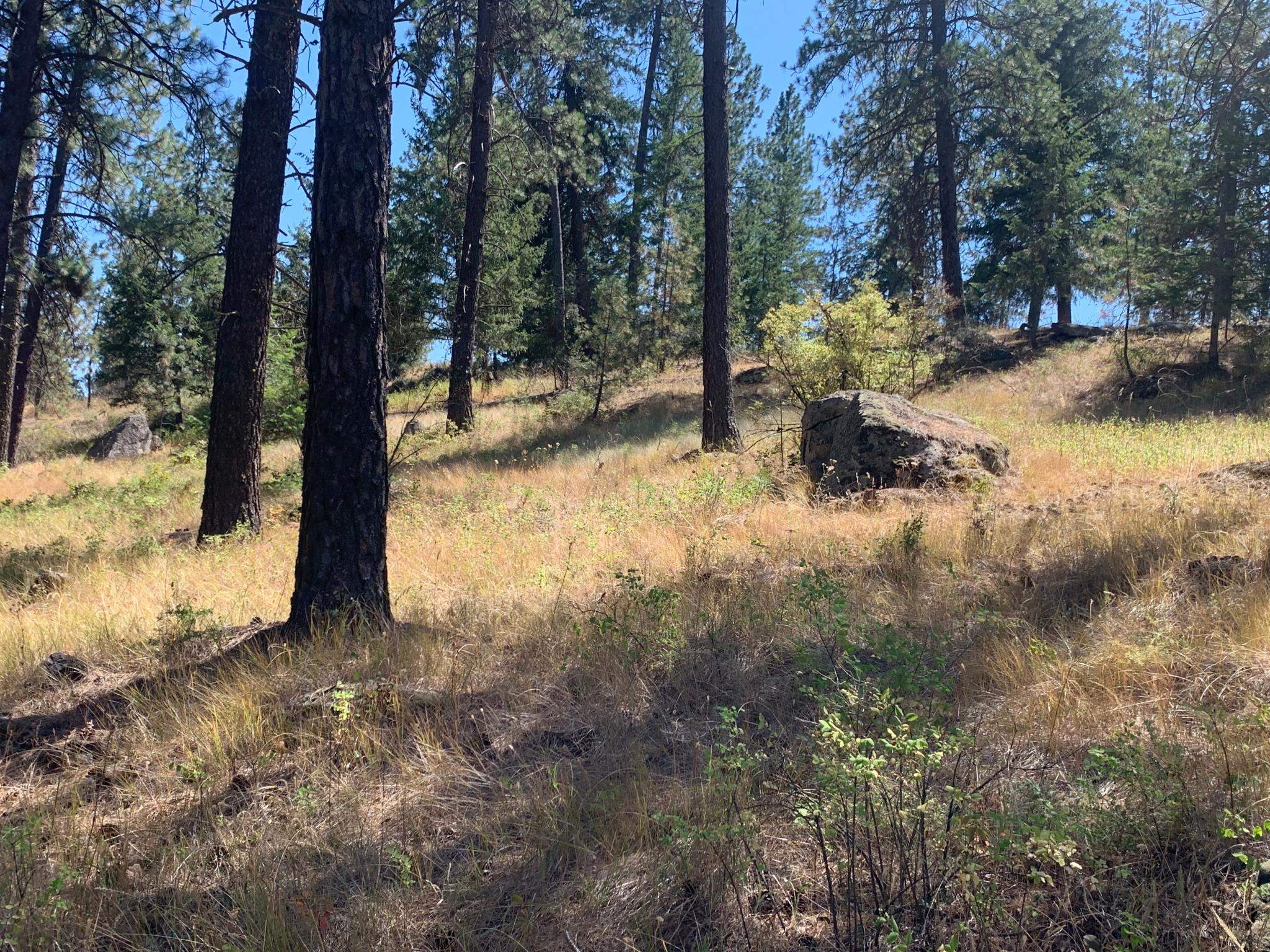 160-xx North Austin Road Spokane, WA 99208 - Photo 10 of 16