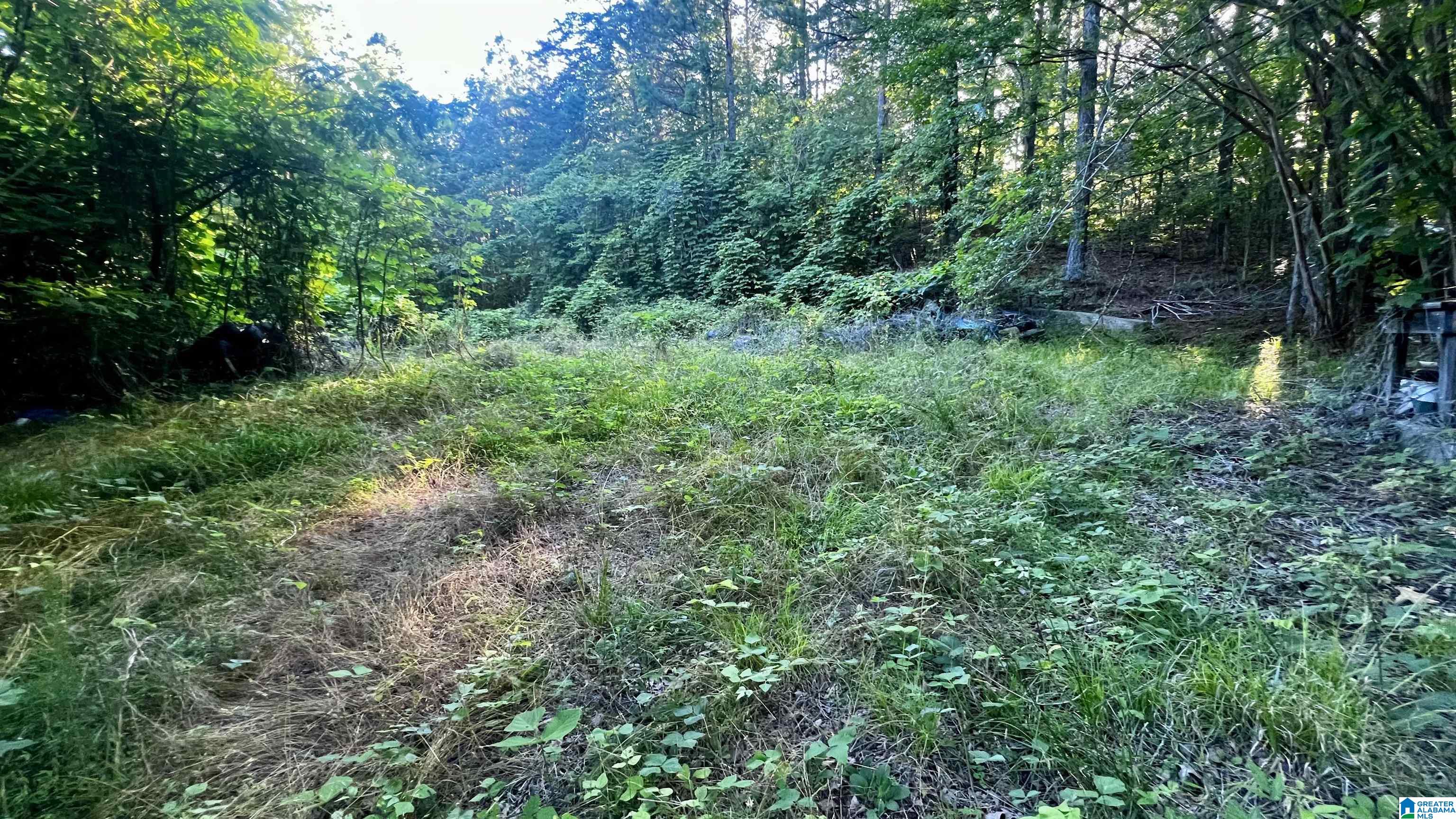 8488 Old Tennessee Pike Road, Unit 8488 Pinson, AL 35126 - Photo 6 of 13