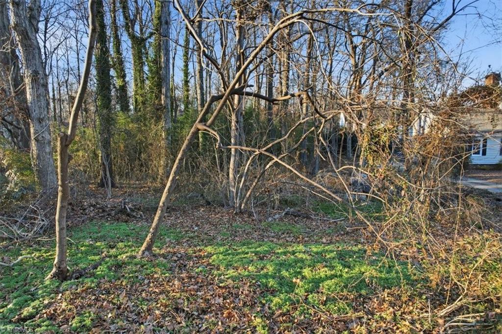 4236 Wayne Road Greensboro, NC 27407 - Photo 4 of 10