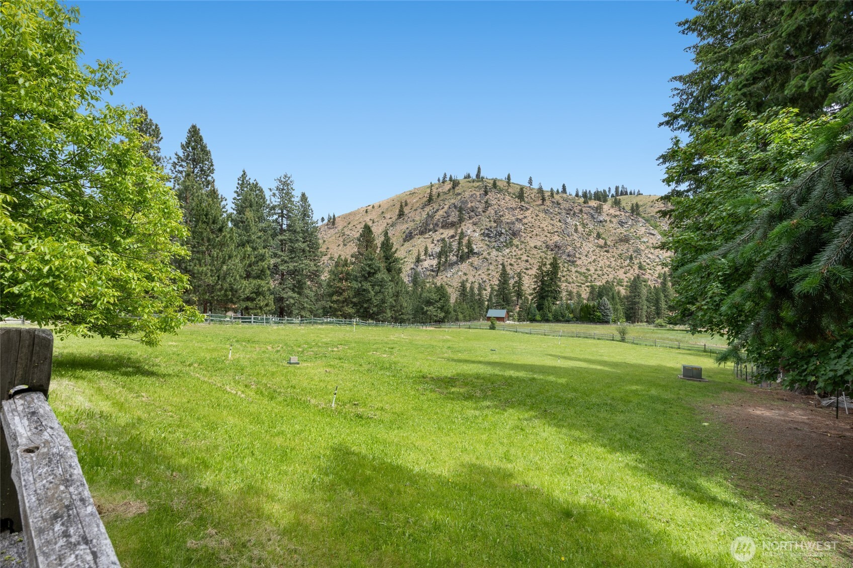 11125 Entiat River Road Entiat, WA 98822 - Photo 39 of 40 a view of a grassy field with trees in the background