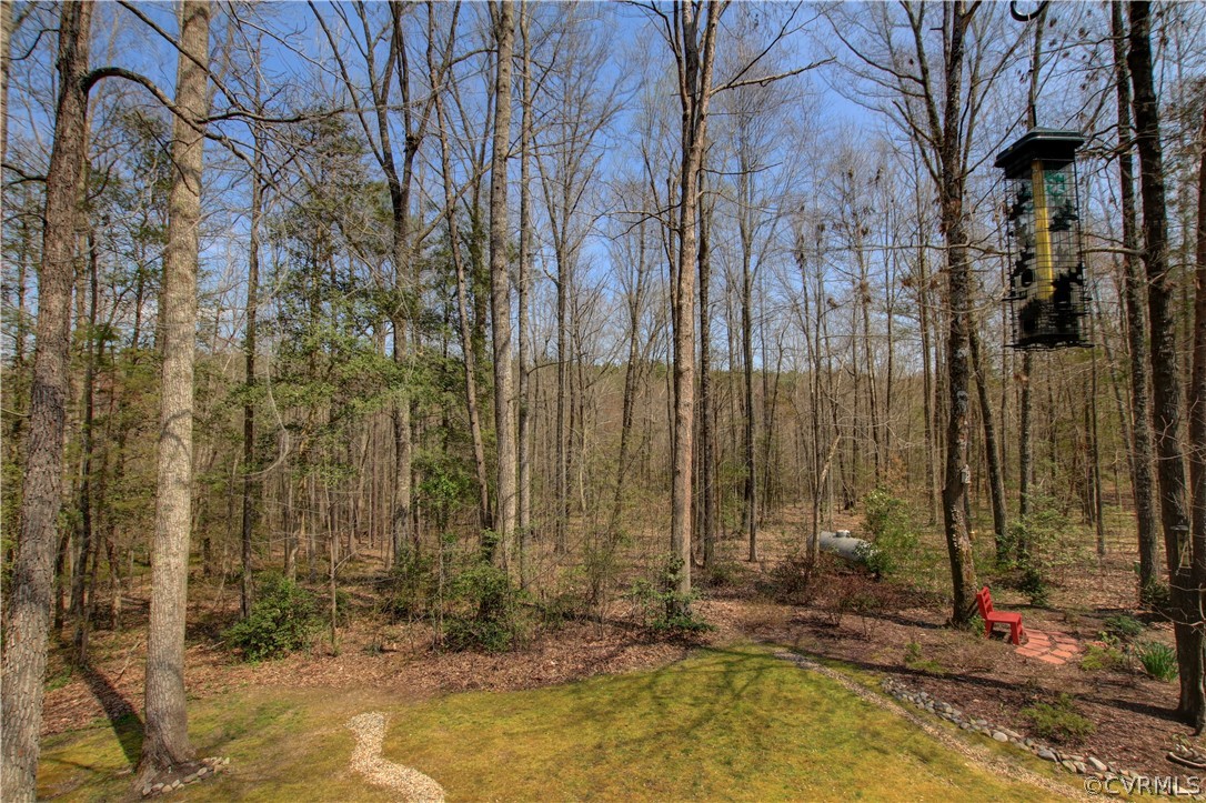 13350 Stagg Trail Road Ashland, VA 23005 - Photo 43 of 46 Gallery Image 43