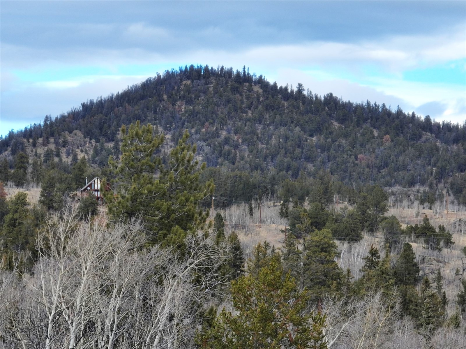 82 Ignacio Way Como, CO 80456 - Photo 14 of 17 Gallery Image 14
