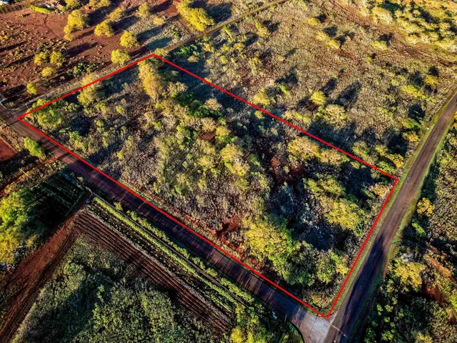 $269,000 | Kaula Road, Maunaloa, HI 96770