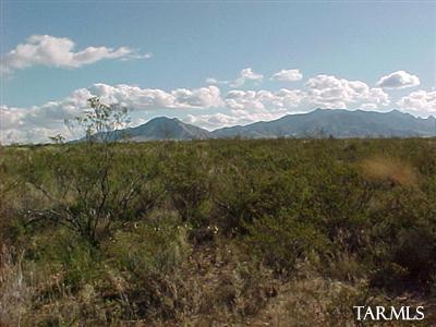 0 115 East Diamondback Road St. David, AZ 85630 - Photo 1 of 3