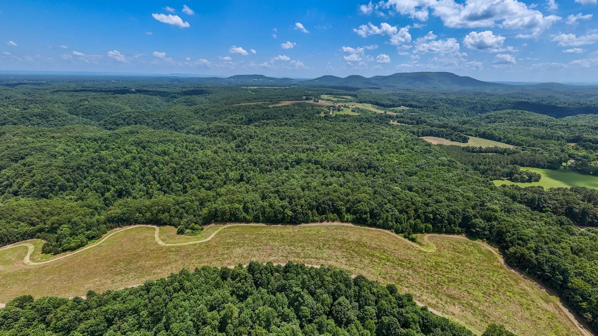 3772 Pea Ridge Road Liberty, TN 37095 - Photo 38 of 52