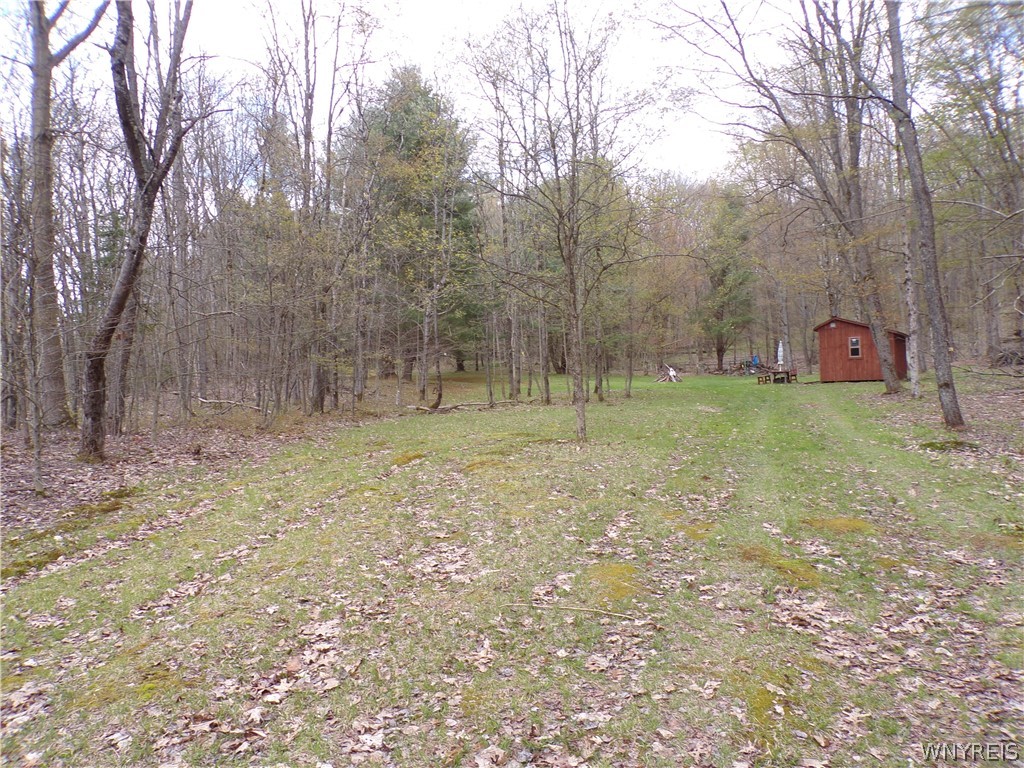 Clair Carrier Road Friendship, NY 14739 - Photo 1 of 1 Gallery Image 1