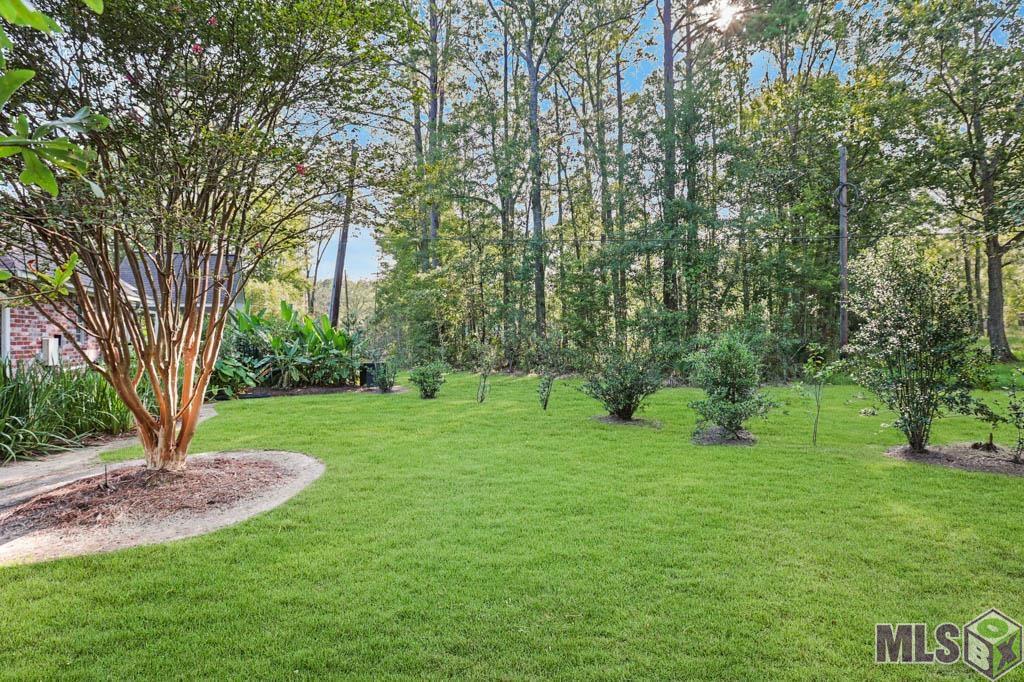 34160 Perkins Road Denham Springs, LA 70706 - Photo 35 of 35