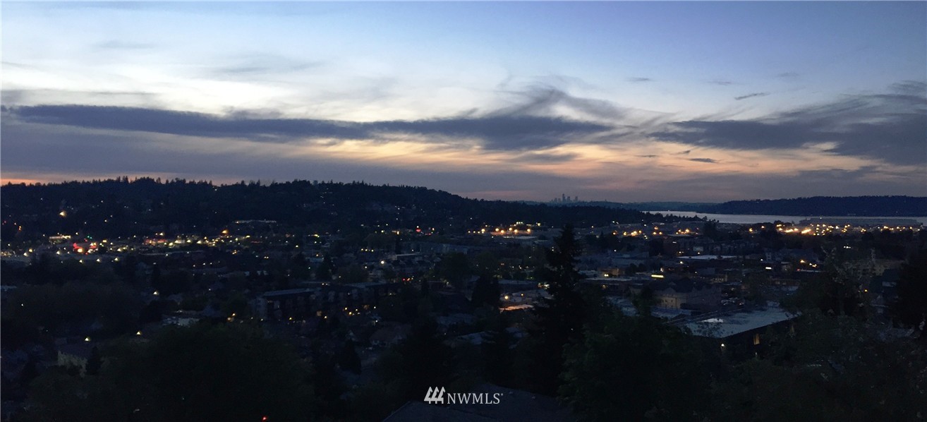 617 Cedar Avenue South Renton, WA 98057 - Photo 4 of 22 Gallery Image 4