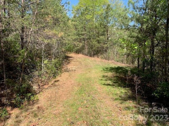 0 Coweeta Ridge Otto, NC 28763 - Photo 3 of 5 Gallery Image 3