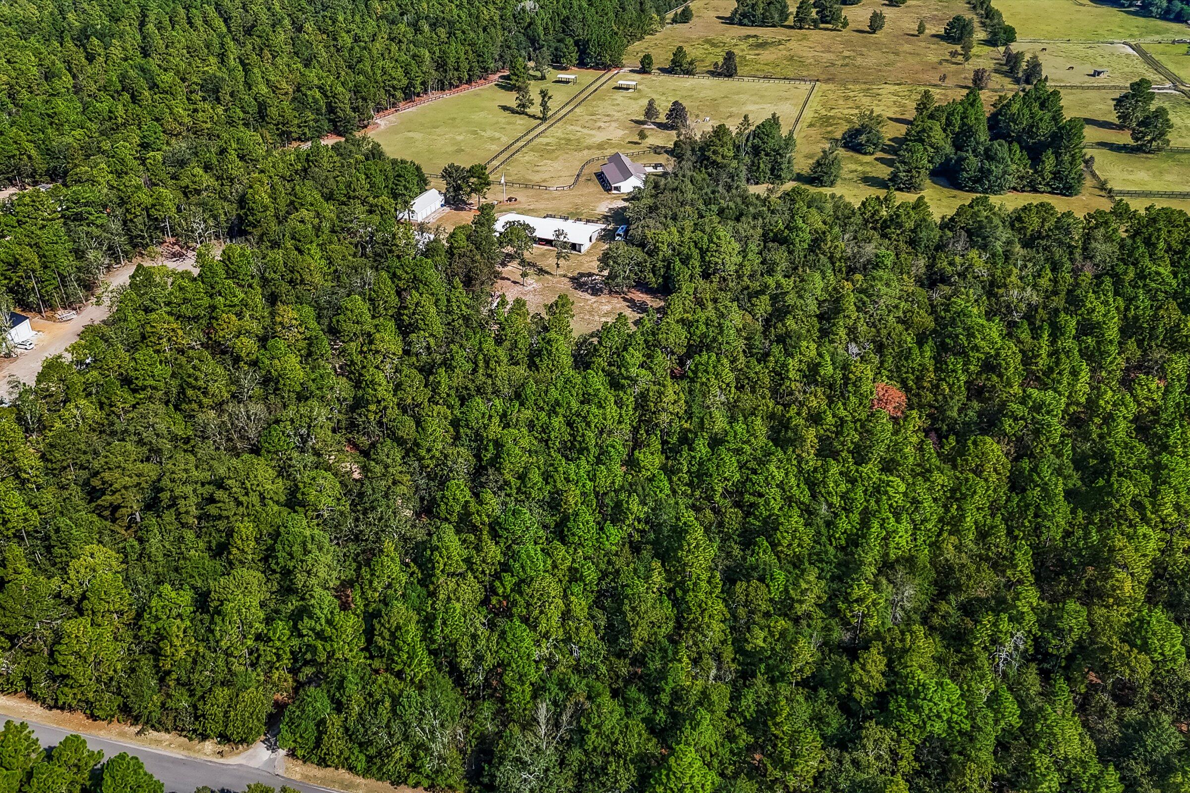 571 Oak Ridge Club Road Windsor, SC 29856 - Photo 93 of 107