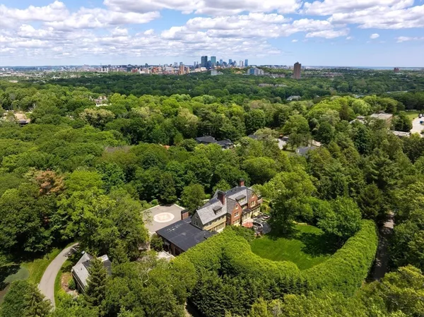 a view of a city with lush green forest