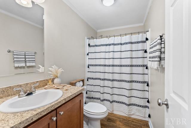 5401 Red House Road Rustburg, VA 24588 - Photo 18 of 27 a bathroom with a granite countertop sink a toilet and a mirror