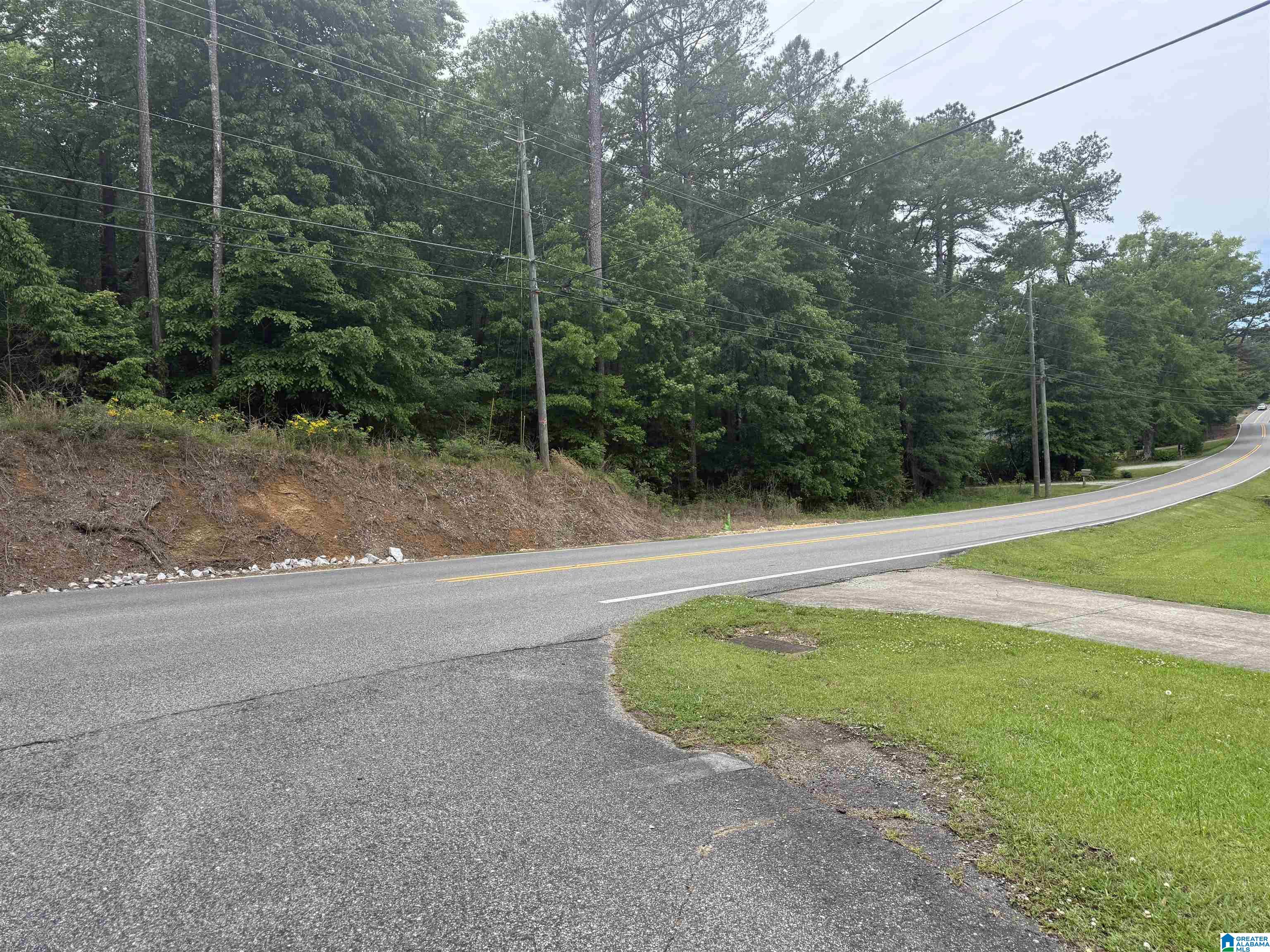 903 Morris Majestic Road, Unit NEW CONSTRUCTION Morris, AL 35116 - Photo 3 of 3