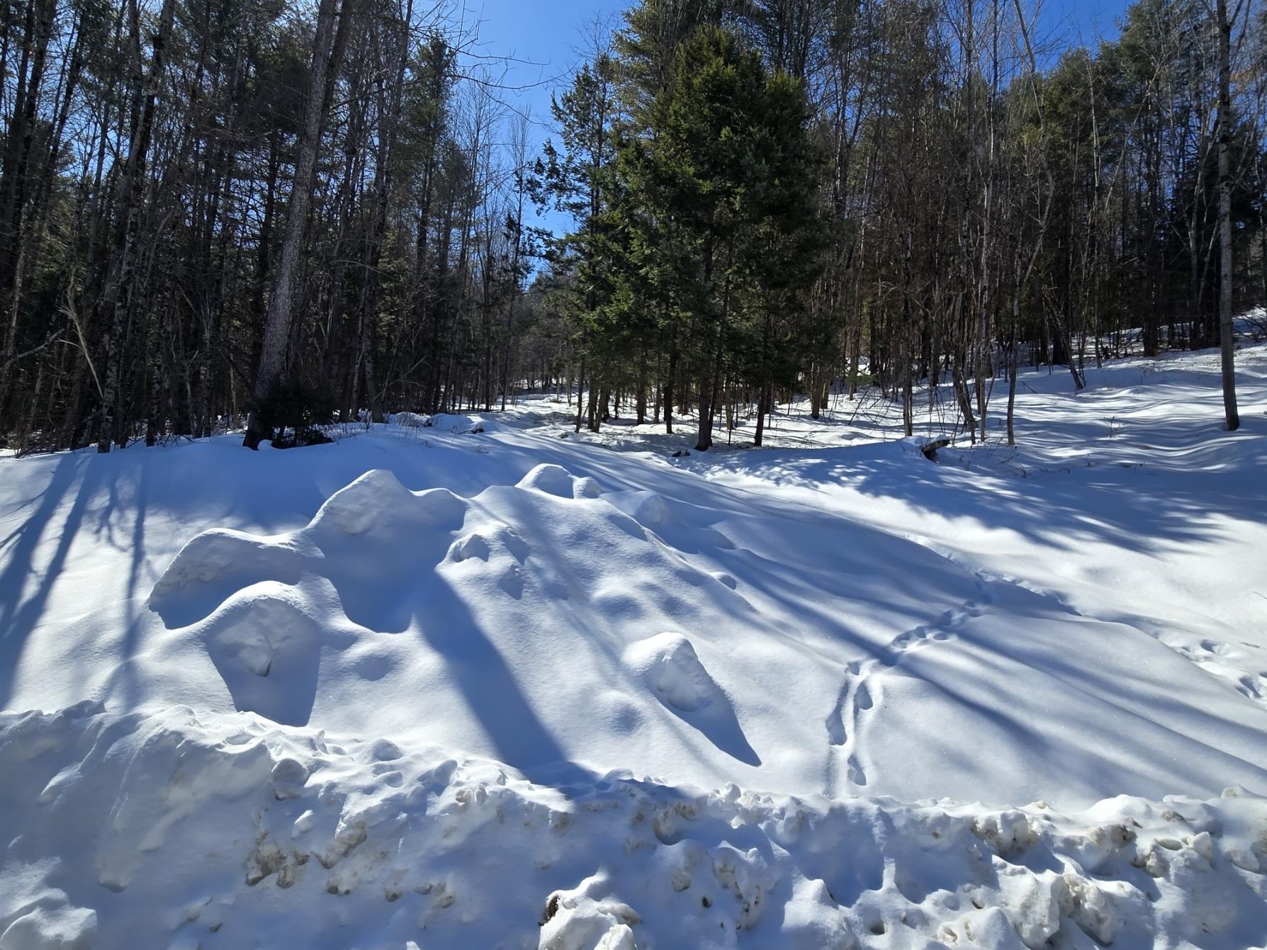 0 Vt Route, Unit LOTS 12 Bethel, VT 05032 - Photo 5 of 10