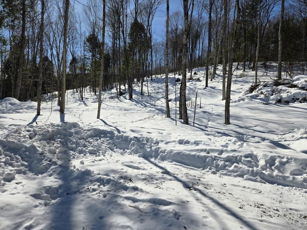 0 Vt Route, Unit LOTS 12 Bethel, VT 05032 - Photo 8 of 10
