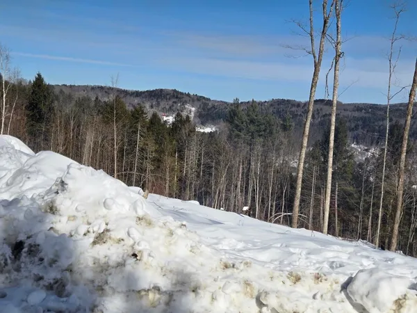 $450,000 | 0 Vt Route, Unit LOTS 12, Bethel, VT 05032