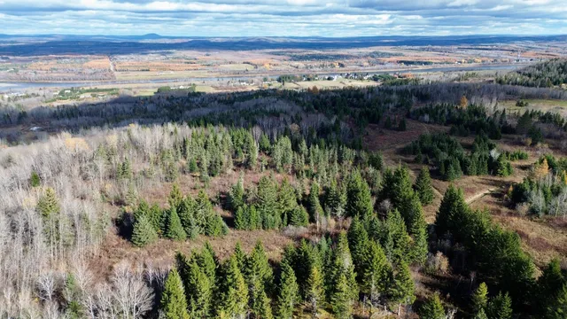 $78,900 | M45-l10 Main Street, Grand Isle, ME 04746