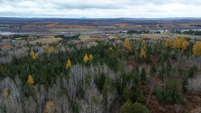 $78,900 | M45-l10 Main Street, Grand Isle, ME 04746