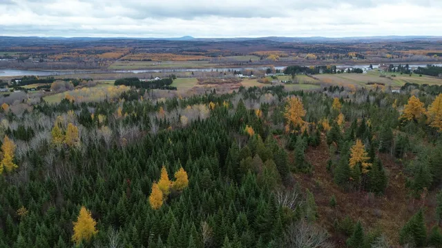 $78,900 | M45-l10 Main Street, Grand Isle, ME 04746