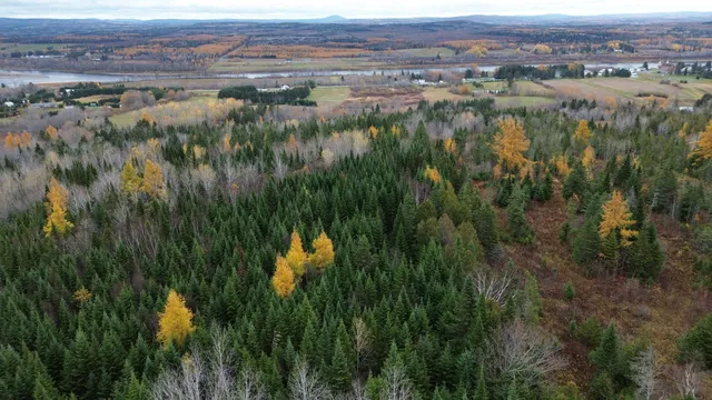 $78,900 | M45-l10 Main Street, Grand Isle, ME 04746