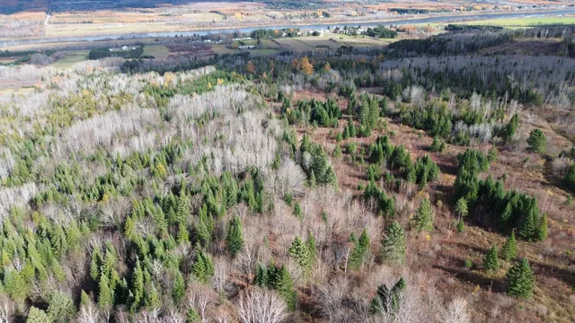 $78,900 | M45-l10 Main Street, Grand Isle, ME 04746