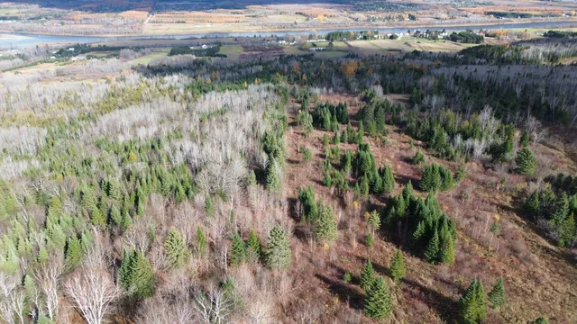 $78,900 | M45-l10 Main Street, Grand Isle, ME 04746