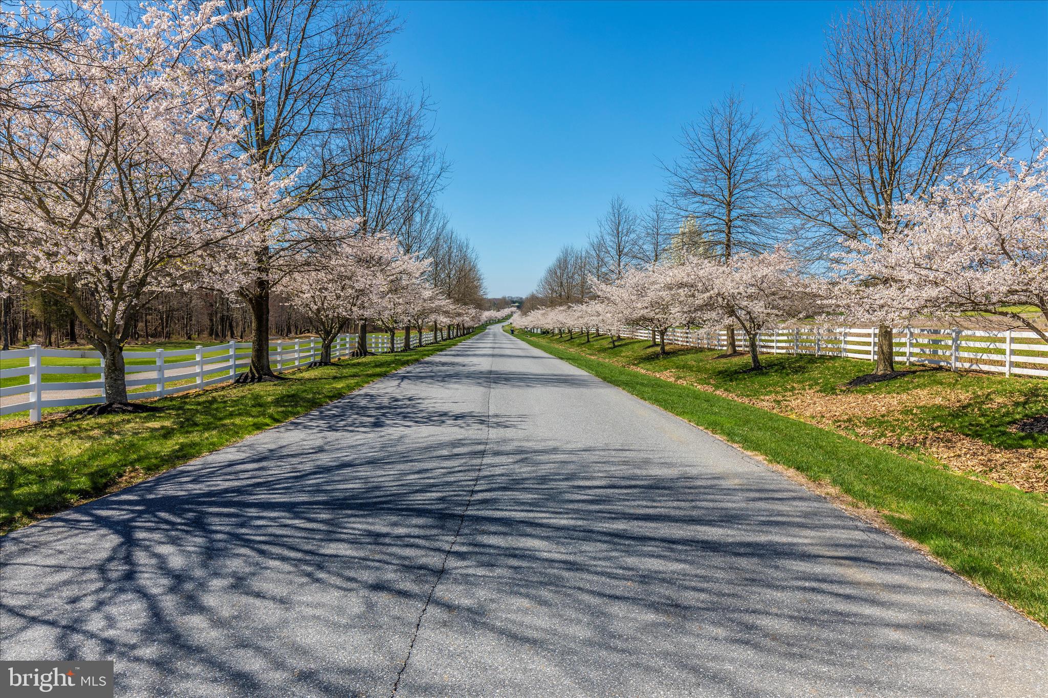 6181 Challedon Circle Mount Airy, MD 21771 - Photo 62 of 63 a view of a park with large trees
