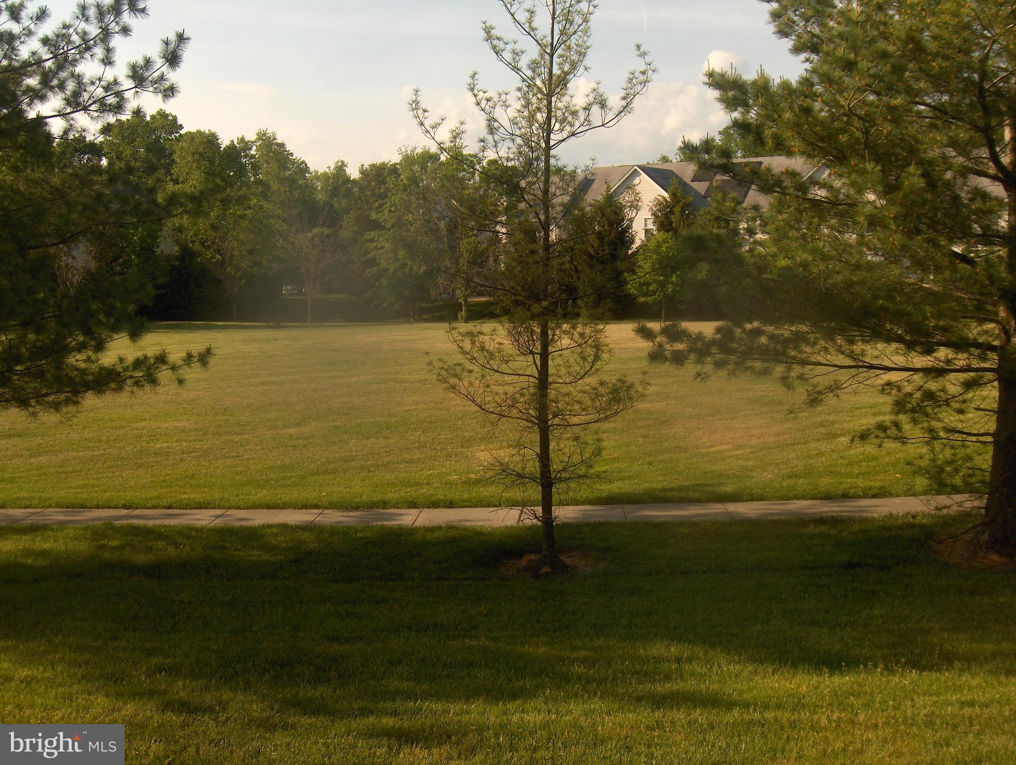 9 Tennyson Road Hightstown, NJ 08520 - Photo 34 of 42 view out back