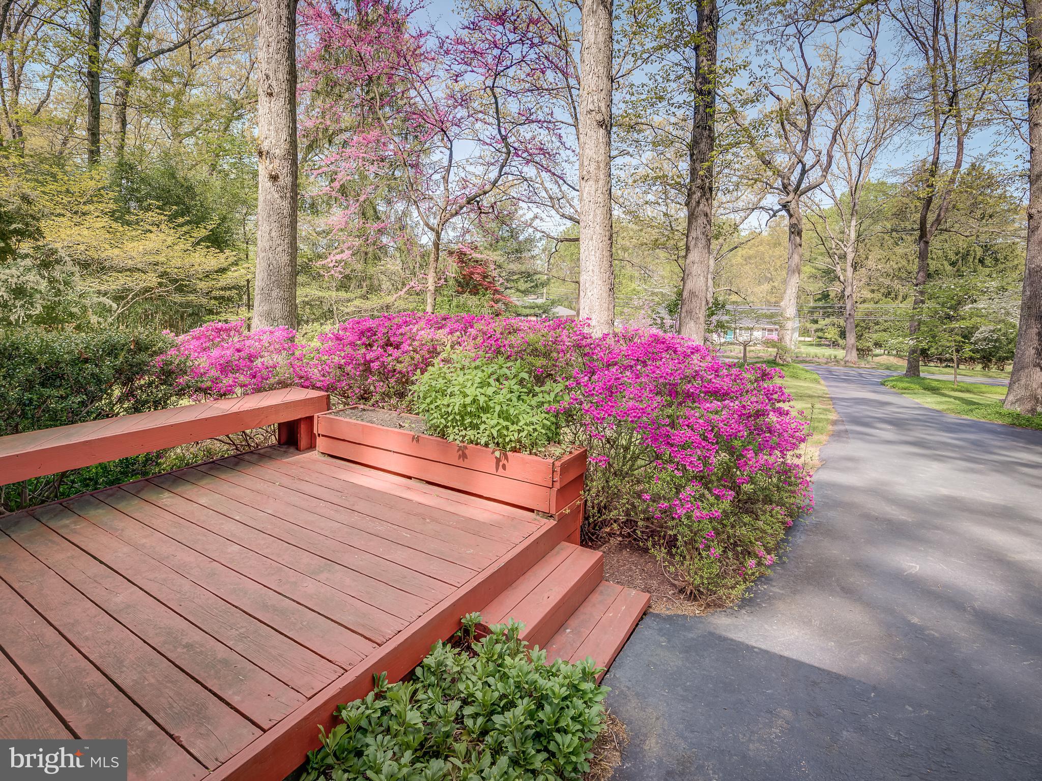 18809 Muncaster Road Rockville, MD 20855 - Photo 10 of 65 Gallery Image 10