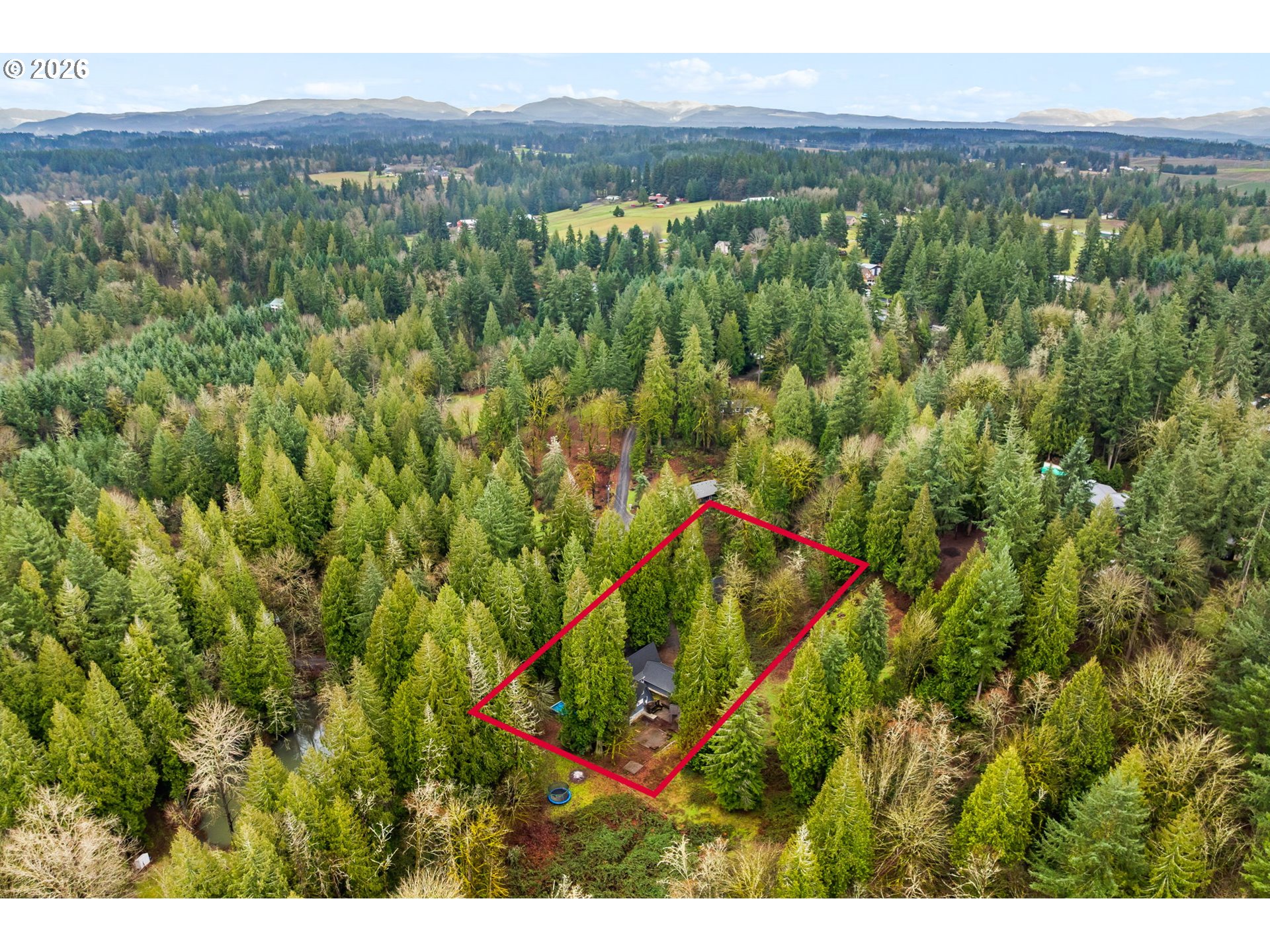 34221 Southeast Colorado Road Sandy, OR 97055 - Photo 46 of 48 a view of a forest with a street