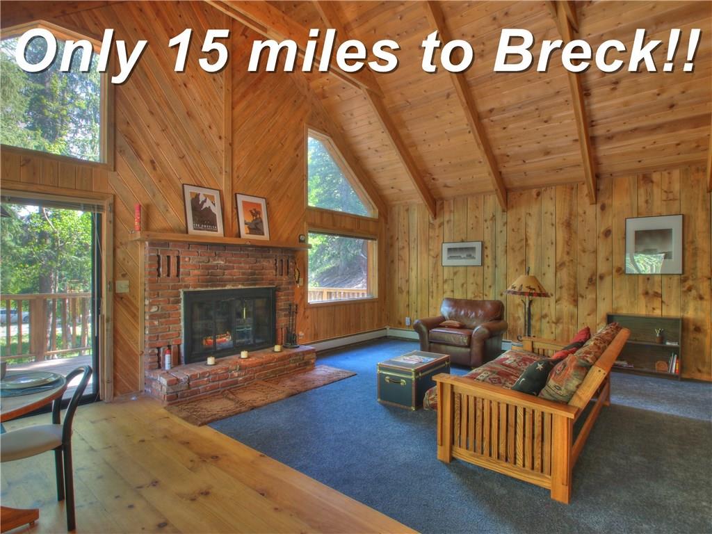 840 Peterson Road Alma, CO 80420 - Photo 1 of 18 Gallery Image 1