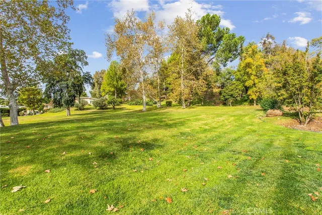 a view of field with trees in the background