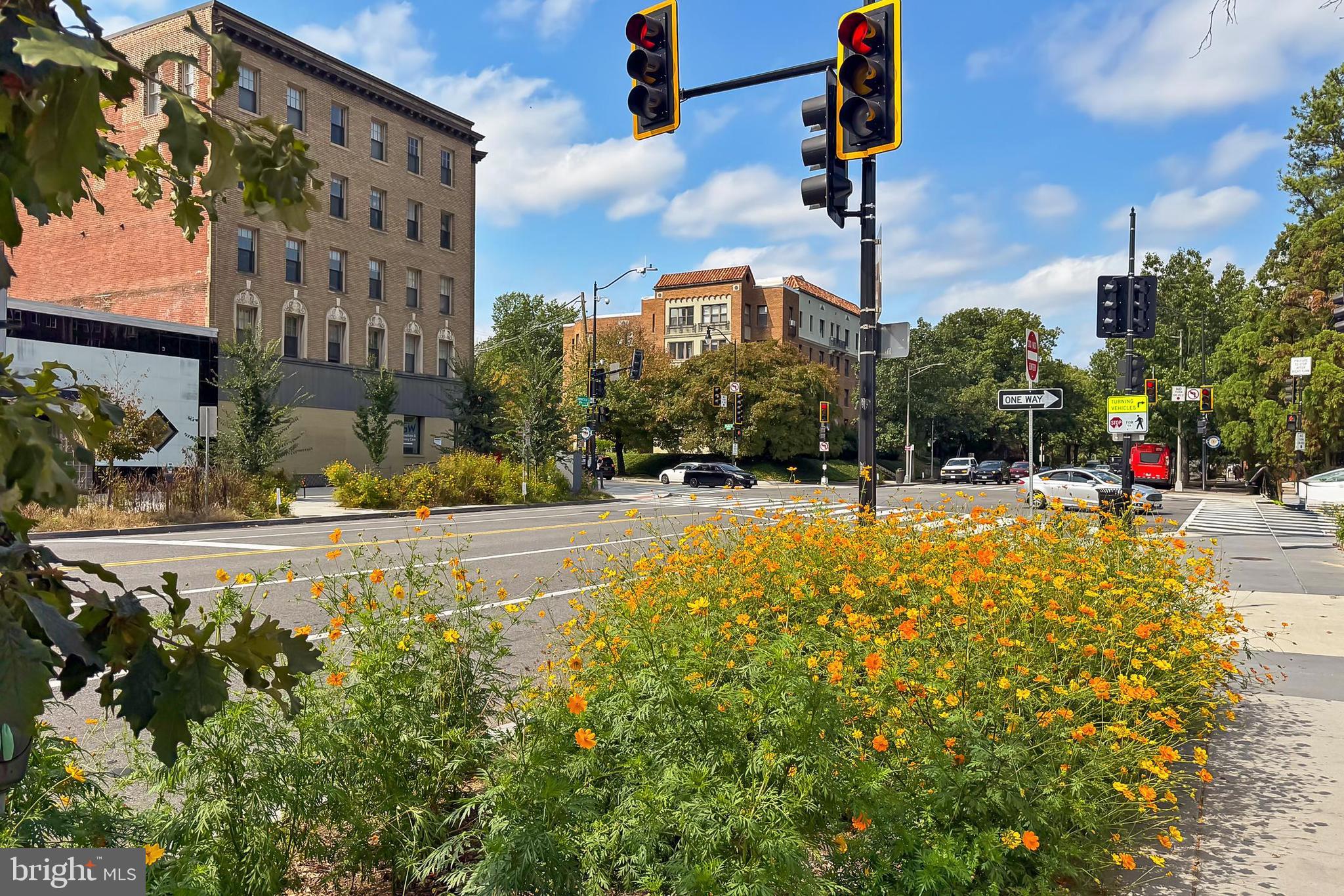 3600 Connecticut Avenue Northwest, Unit 105 Washington, DC 20008 - Photo 29 of 55 The Porter boasts beautiful garden spaces