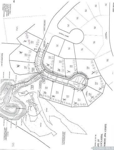 a view of a yard with trees