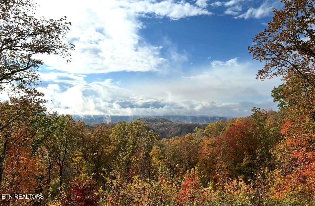 133 Hickory Flats Road Harriman, TN 37748 - Photo 53 of 57 Nature Scape