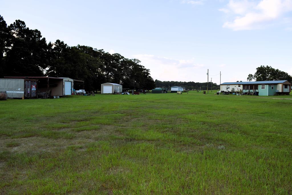 7252 County Road 49 Slocomb, AL 36375 - Photo 61 of 75