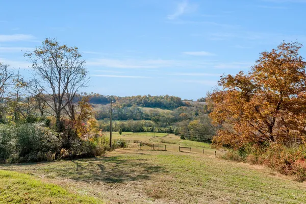 a view of a park with large trees