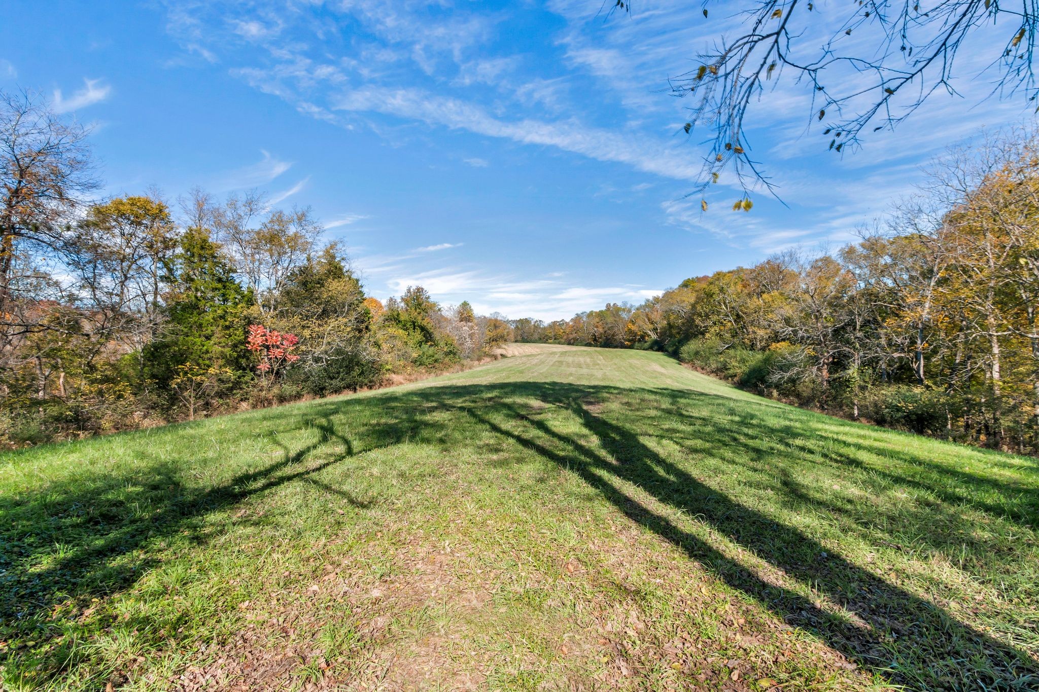 2886 Fly Road Santa Fe, TN 38482 - Photo 60 of 92