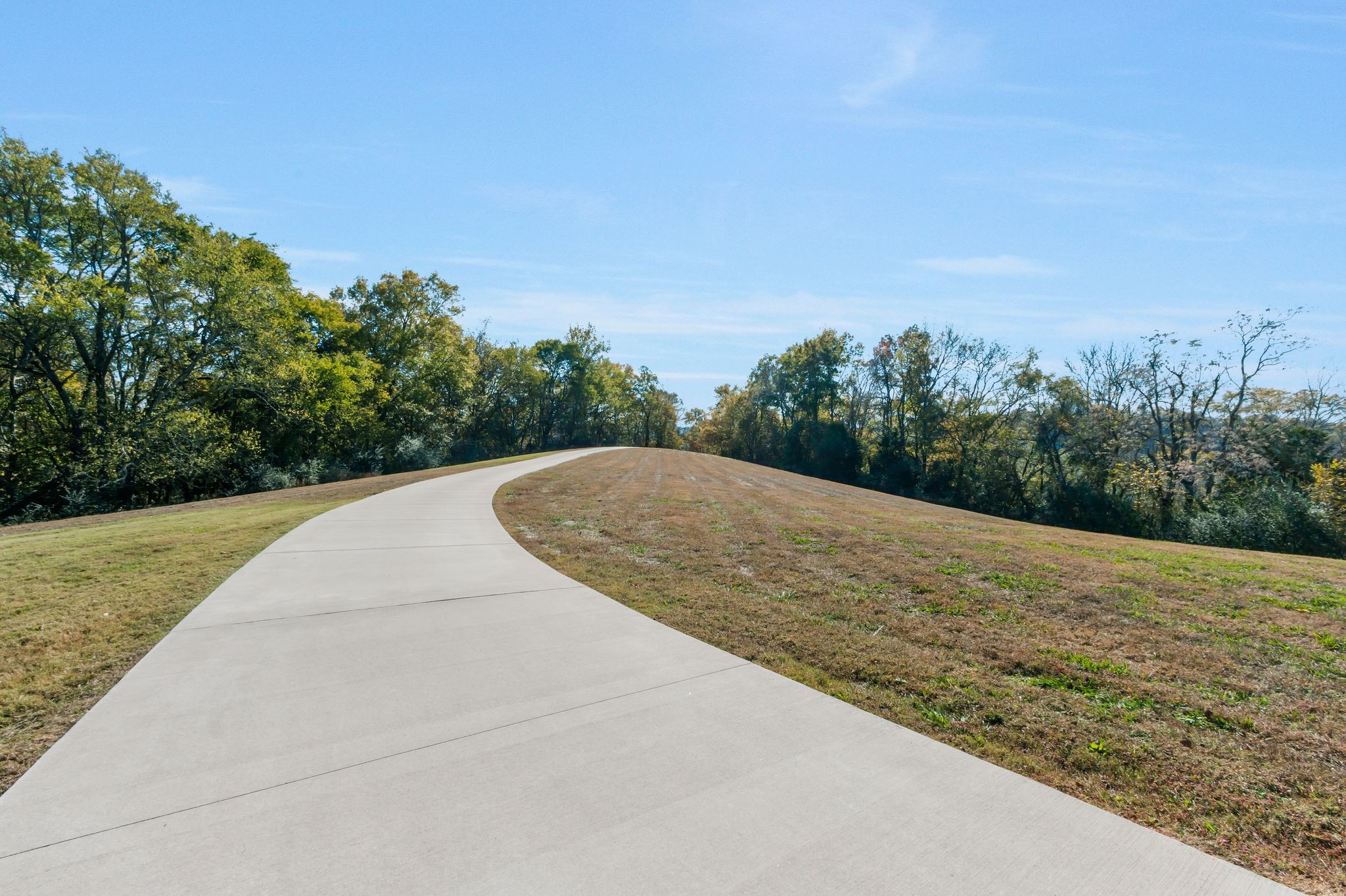 2886 Fly Road Santa Fe, TN 38482 - Photo 61 of 92 a view of a outdoor space with trees