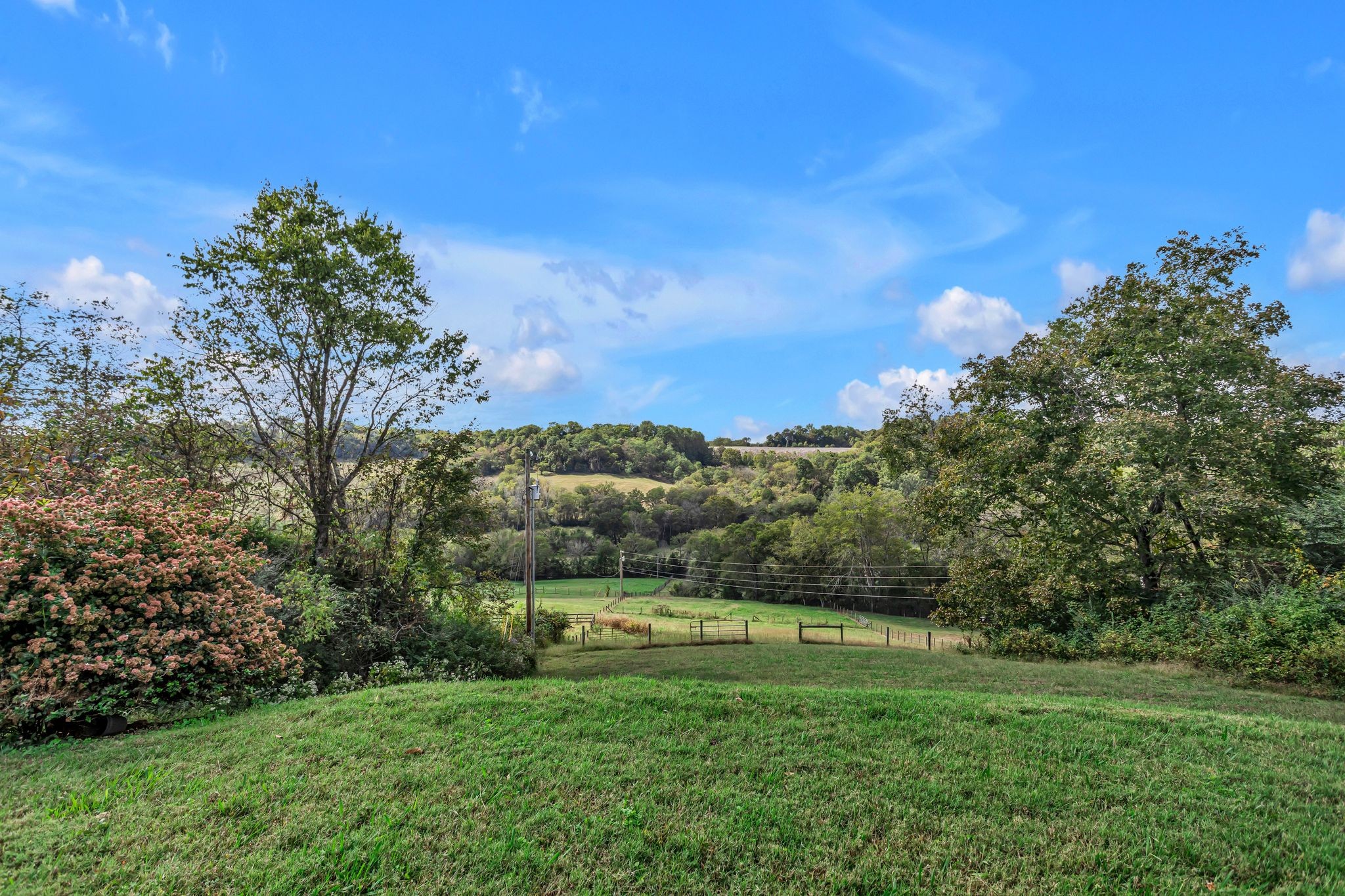 2886 Fly Road Santa Fe, TN 38482 - Photo 72 of 92 a view of a grassy field with an trees