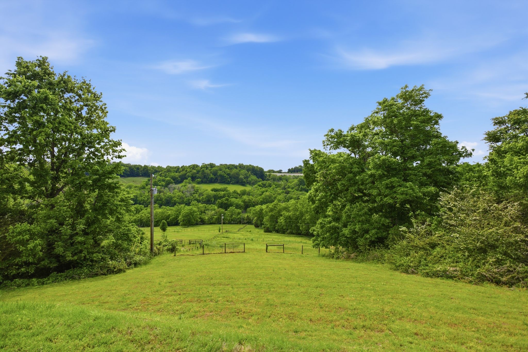 2886 Fly Road Santa Fe, TN 38482 - Photo 91 of 96