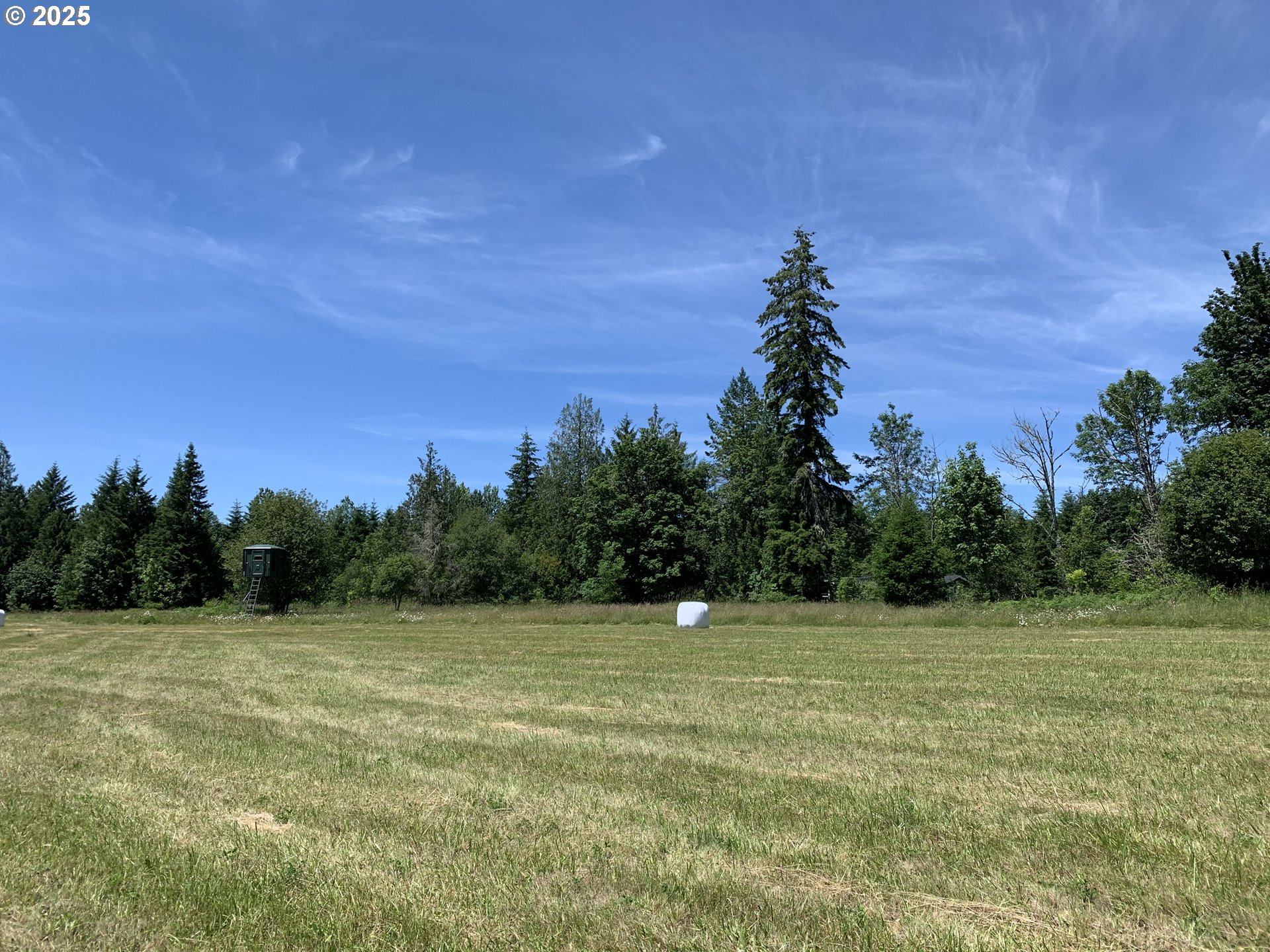 178 Mask Lane Toutle, WA 98649 - Photo 4 of 6