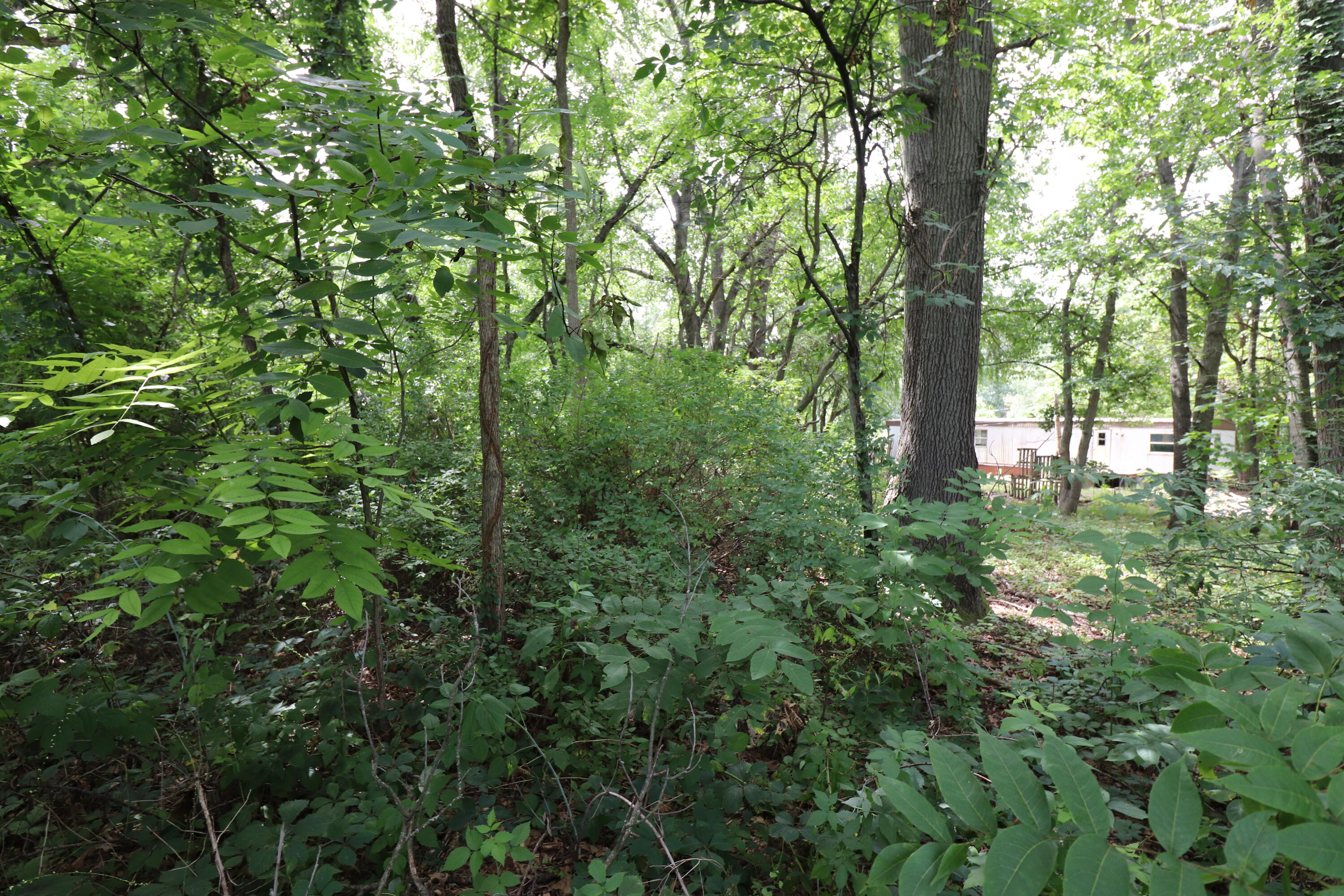 42497 Parkhurst Street Decatur, MI 49045 - Photo 3 of 8 IMG_3928