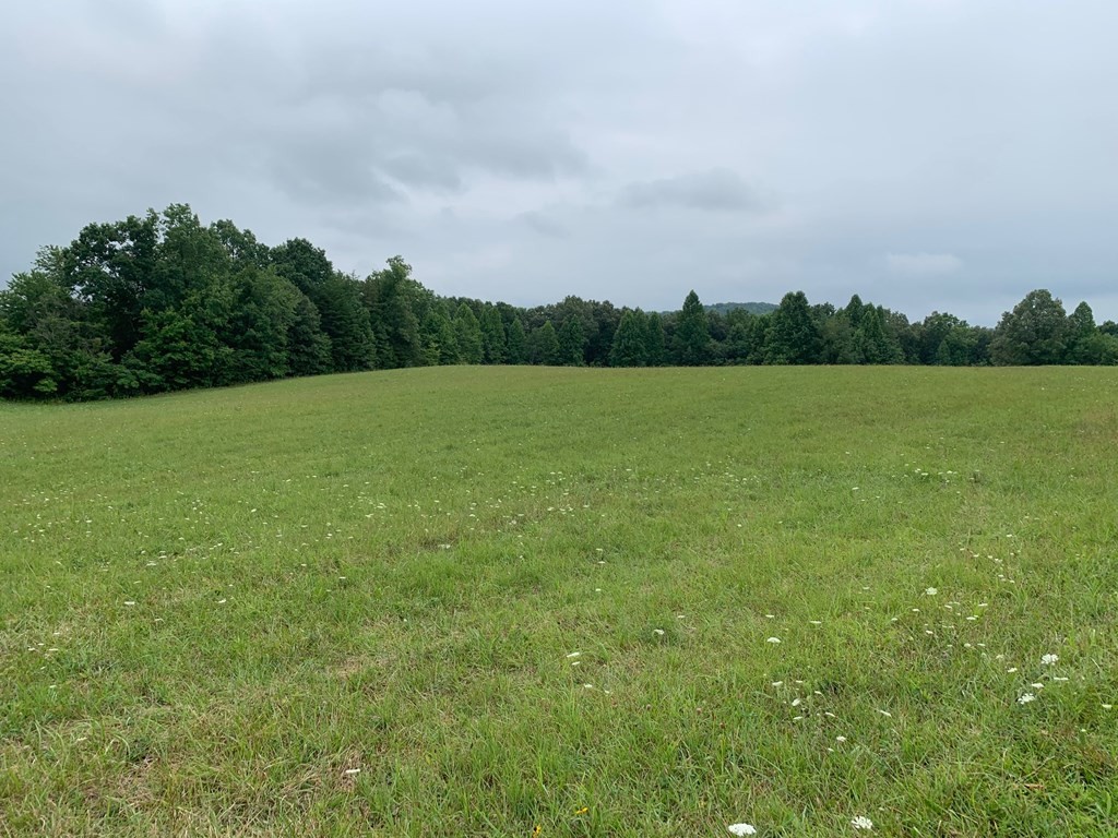 0 Clark Road Pikeville, TN 37367 - Photo 4 of 9 Gallery Image 4